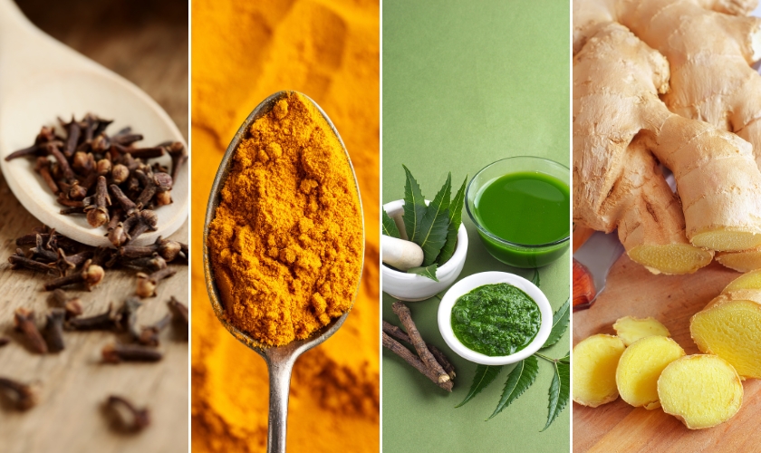 Natural ingredients commonly used for oral health remedies